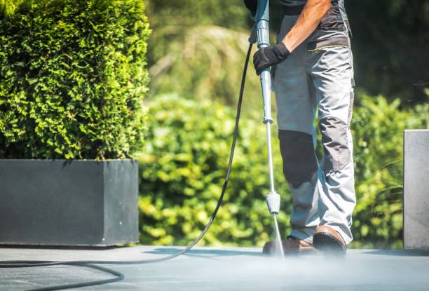 Best Building Exterior Washing  in Llano Grande, TX