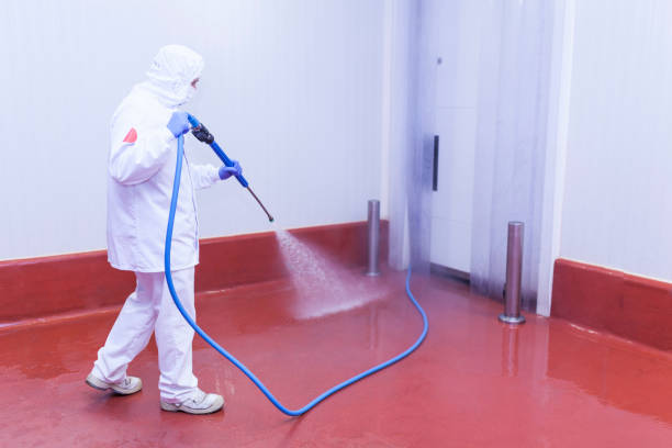 Best Paint Preparation  in Llano Grande, TX